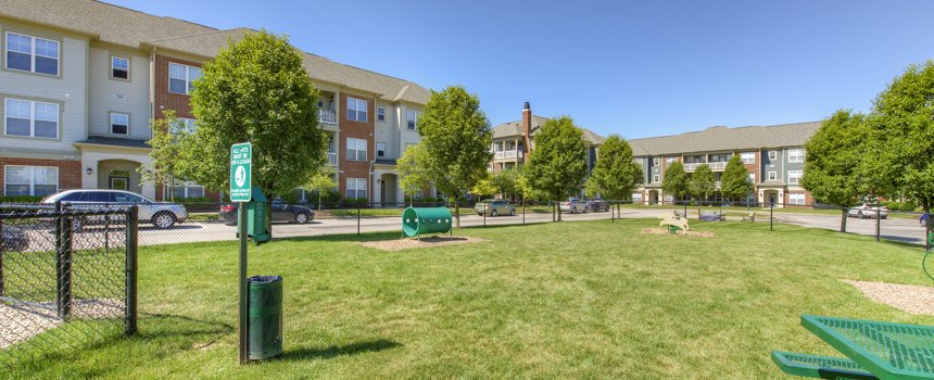 Picture of dog park in our Zionsville apartment community